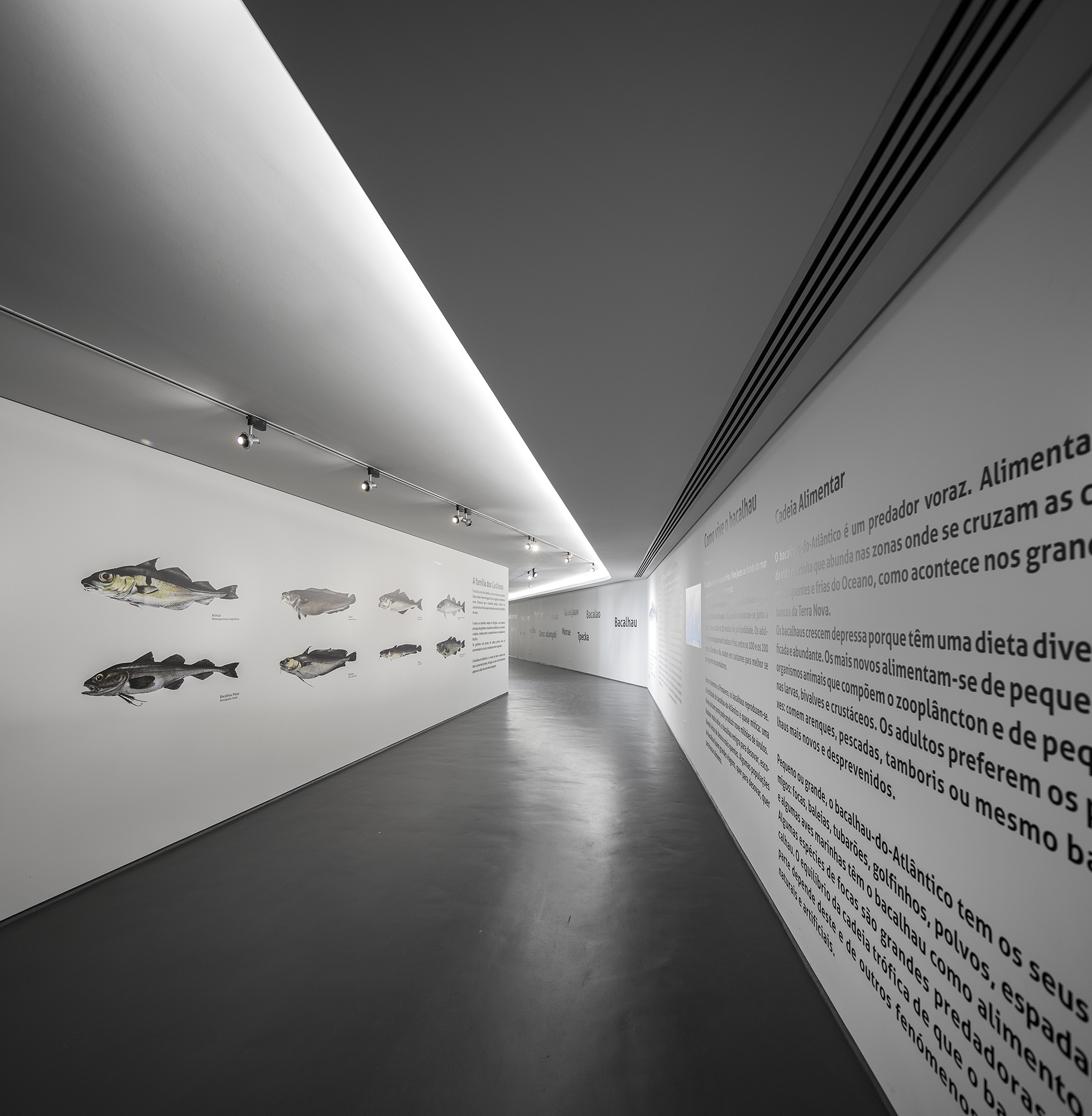 Fotografia — Ampliação do Museu Marítimo de Ílhavo, Ílhavo, Aveiro, Portugal