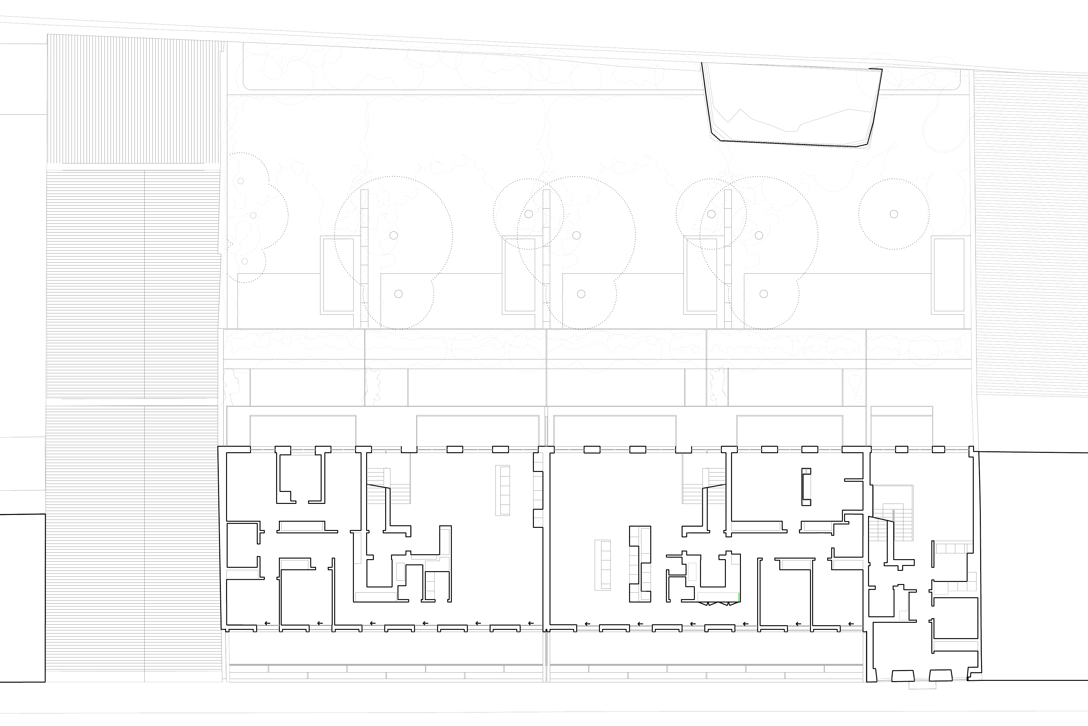 Planta — Jungle Lofts