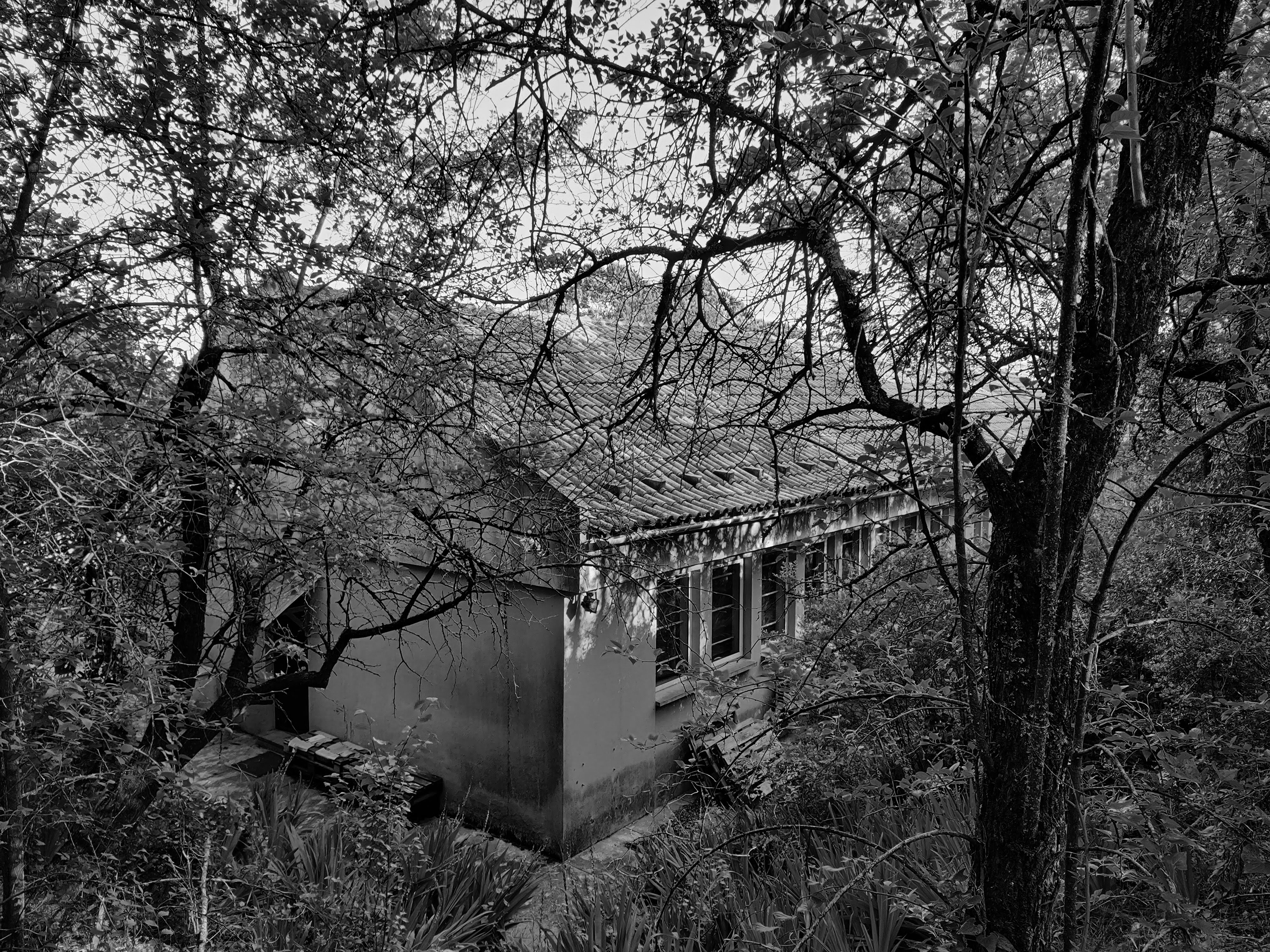 Fotografia — Redbridge ISA, Tapada da Ajuda, Lisboa, Portugal